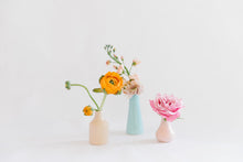 Load image into Gallery viewer, Disco Mama Bud Vase Trio
