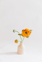 Load image into Gallery viewer, Disco Mama Bud Vase Trio