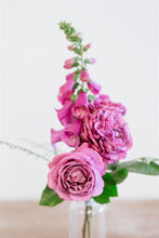 Load image into Gallery viewer, Mother’s Day Bud Vase Trio