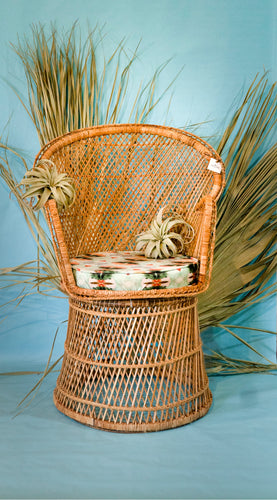 Whitney Winkler Art: Agave Velvet Peacock Chair