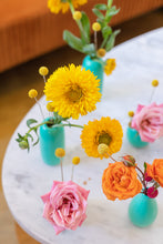 Load image into Gallery viewer, PVR Vacay Bud Vase Trio