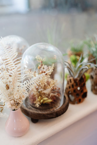 Forever Florals Dried Floral Cloche