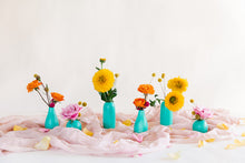 Load image into Gallery viewer, PVR Vacay Bud Vase Trio