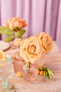 Blush + Boujee Bud Vase Trio