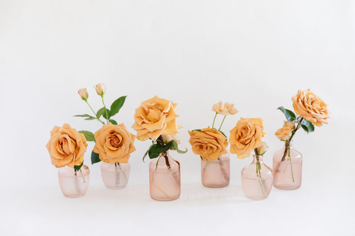 Blush + Boujee Bud Vase Trio